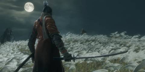 Facing a boss in Sekiro Shadows Die Twice