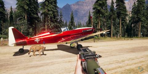 Far Cry 5 Plane On Land