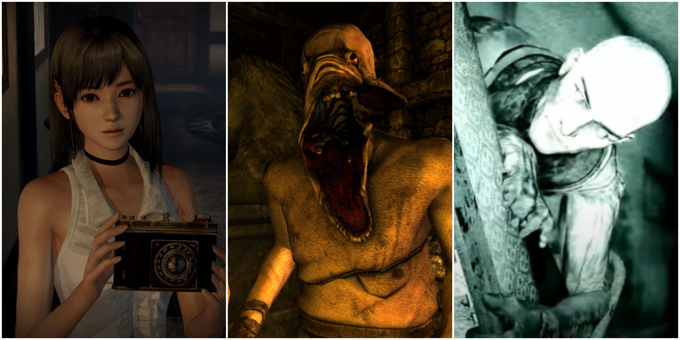 Fatal Frame: The Maiden of Black Water, Amnesia: The Dark Descent, Outlast