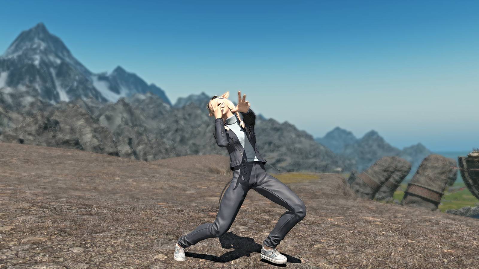 final-fantasy-14-pose-of-the-unbound-emote-header