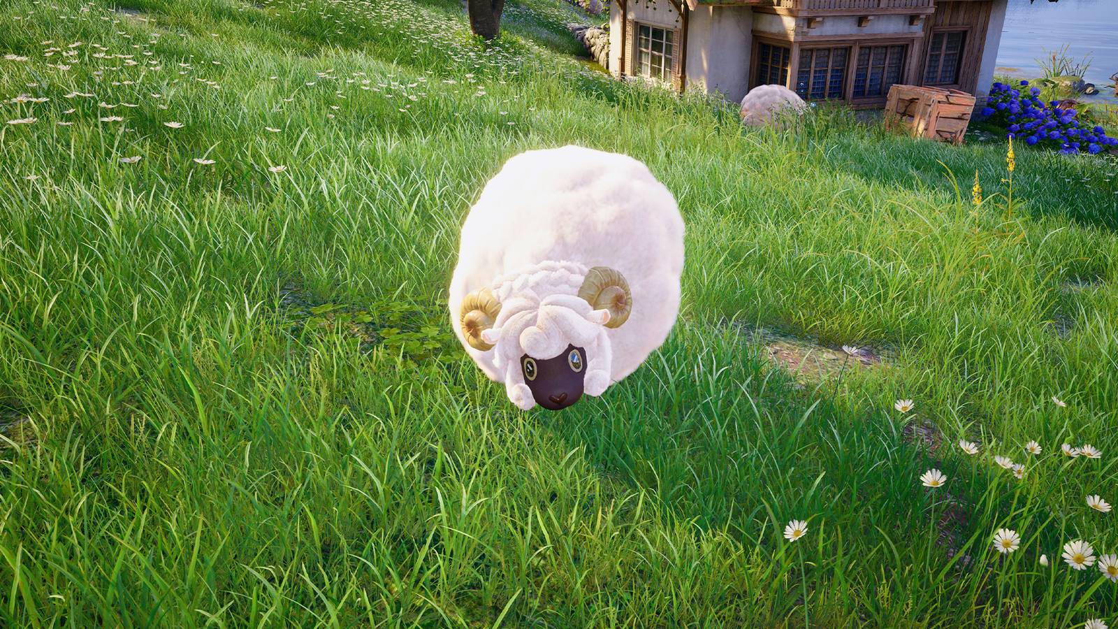 florascent wool in infinity nikki