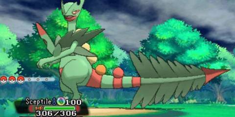 Footage of Mega Sceptile.