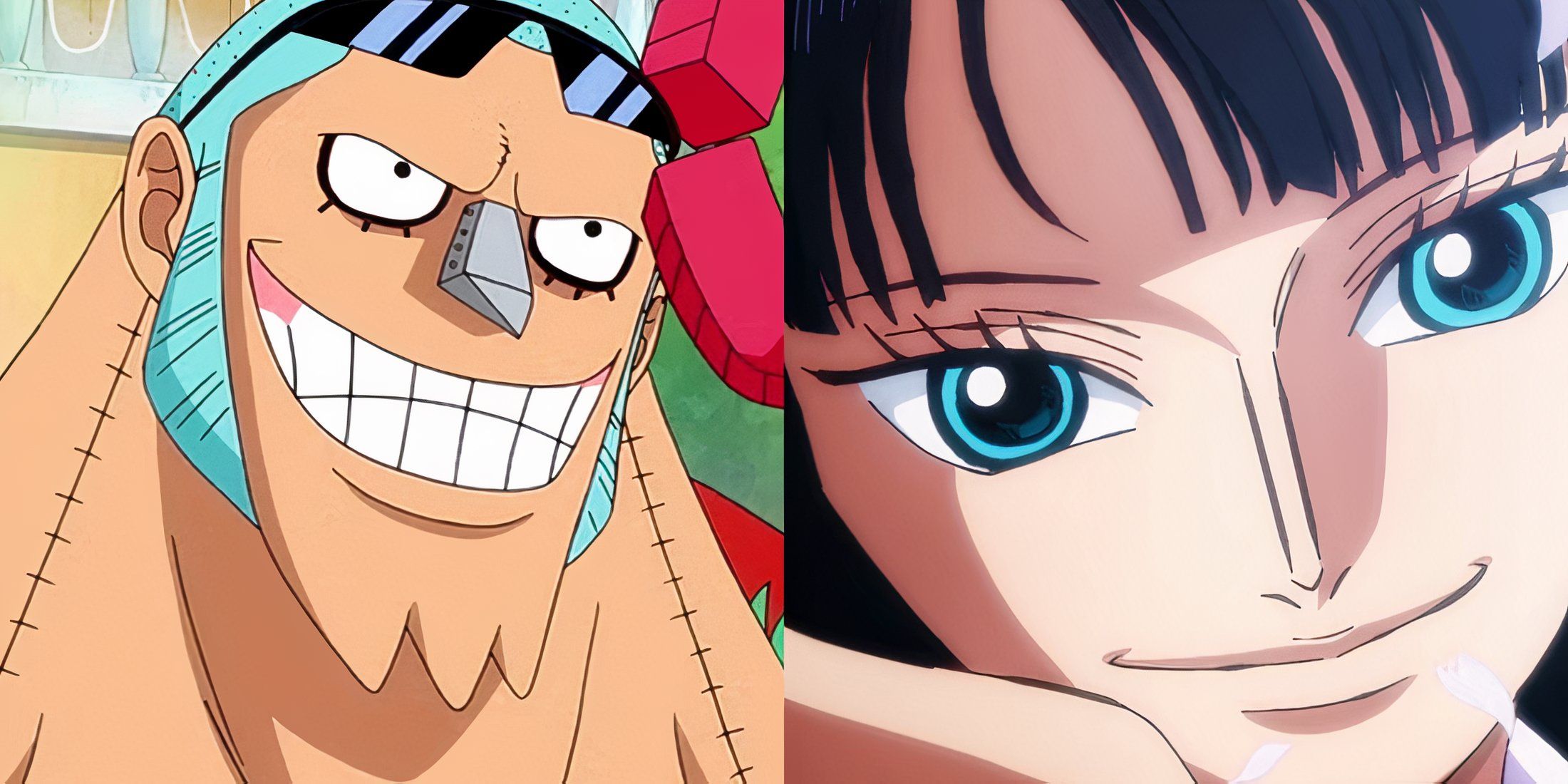 Franky Robin Smartest One Piece