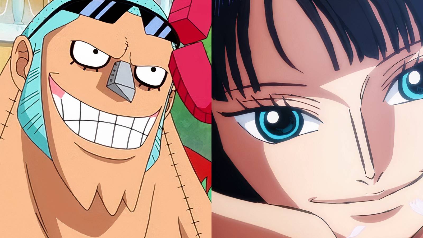 Franky Robin Smartest One Piece