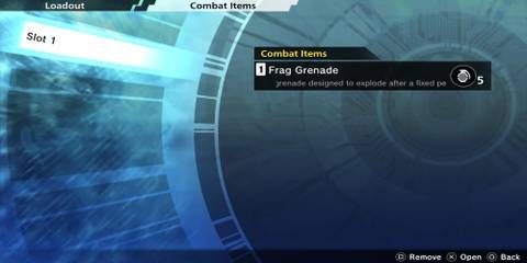 The Accessory Getting A Combat Item Equipped 