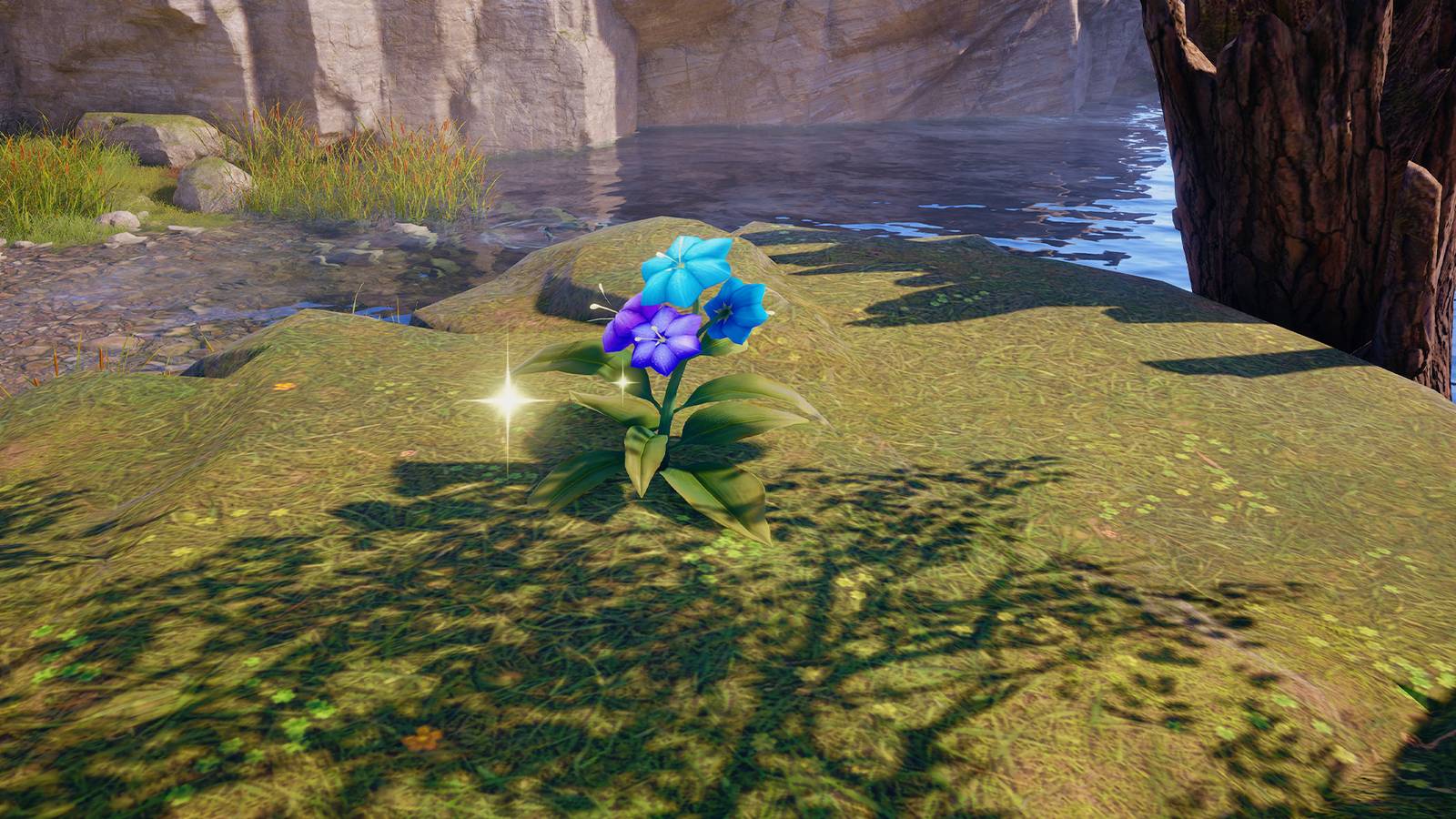 glimmergrass in infinity nikki