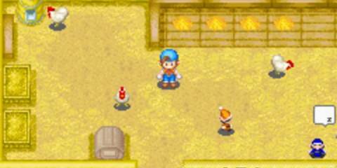 Harvest Moon: Friends of Mineral Town 