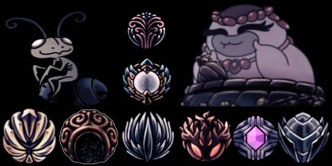 Hollow Knight Charms collage