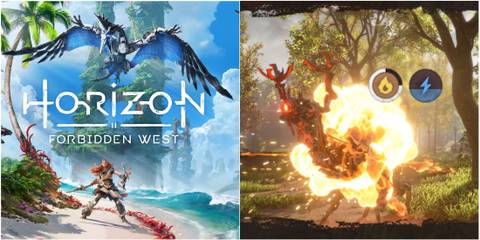 horizon forbidden west status effect