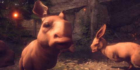 Adorable Nugs in Photo Mode in Dragon Age