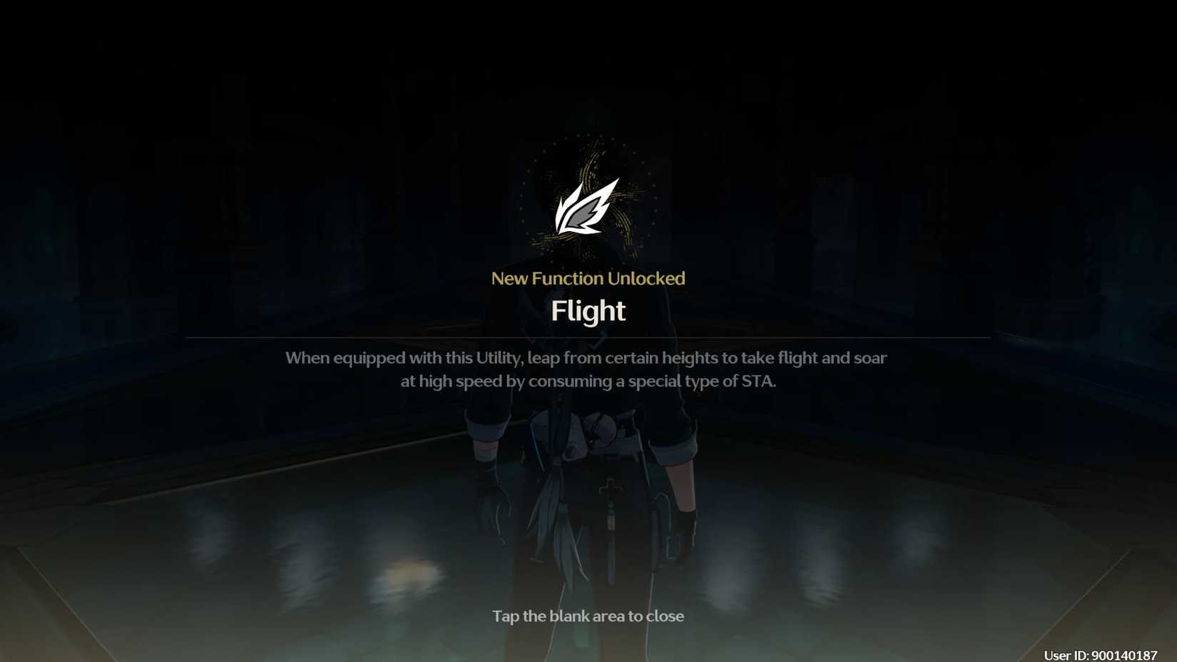 Description of WuWa's Flight mechanic