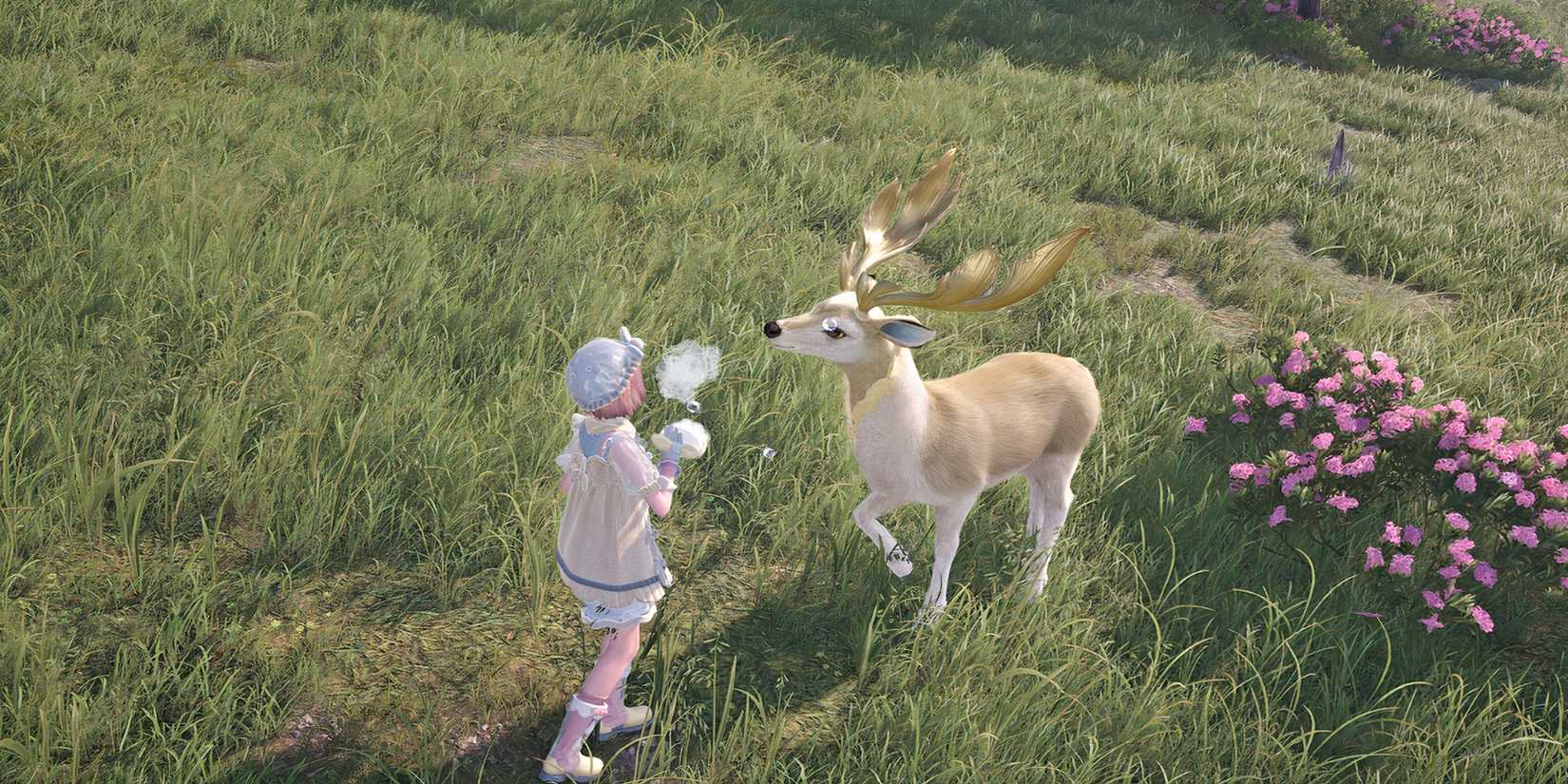 Infinity Nikki Reveals Upcoming Gameplay Improvements