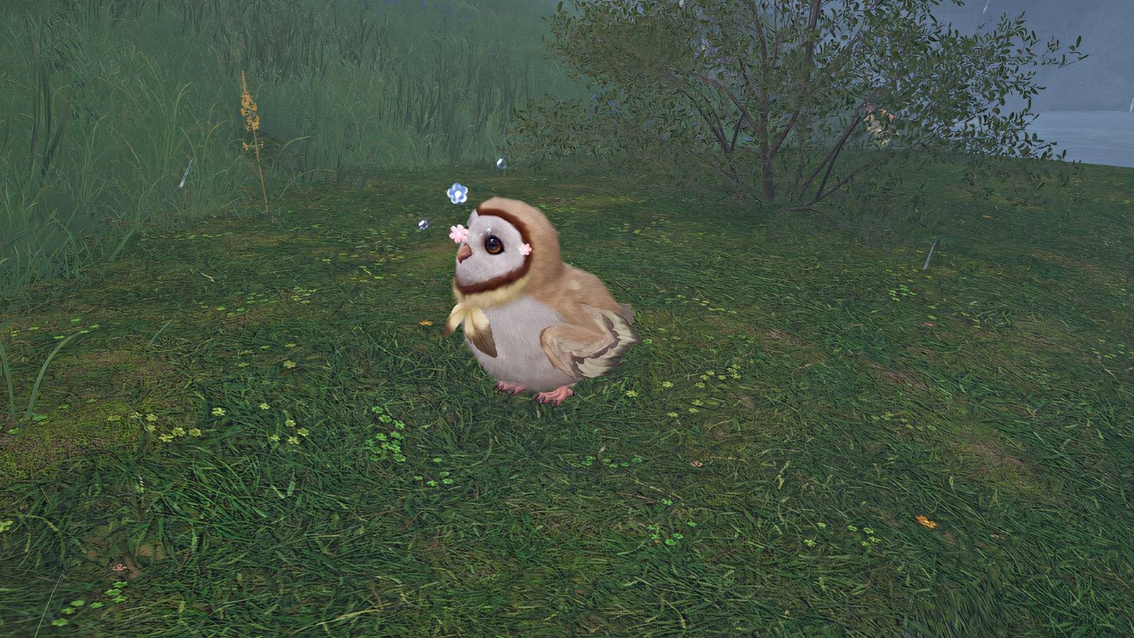 infinity-nikki-hooded-owl-header