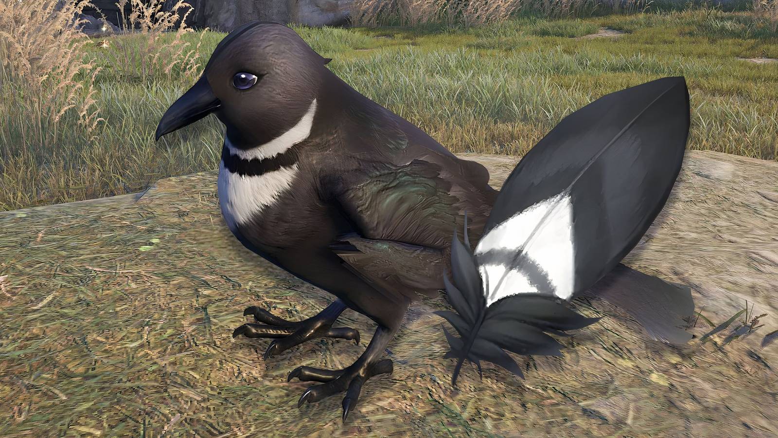 infinity-nikki-how-get-celebcrow-feather