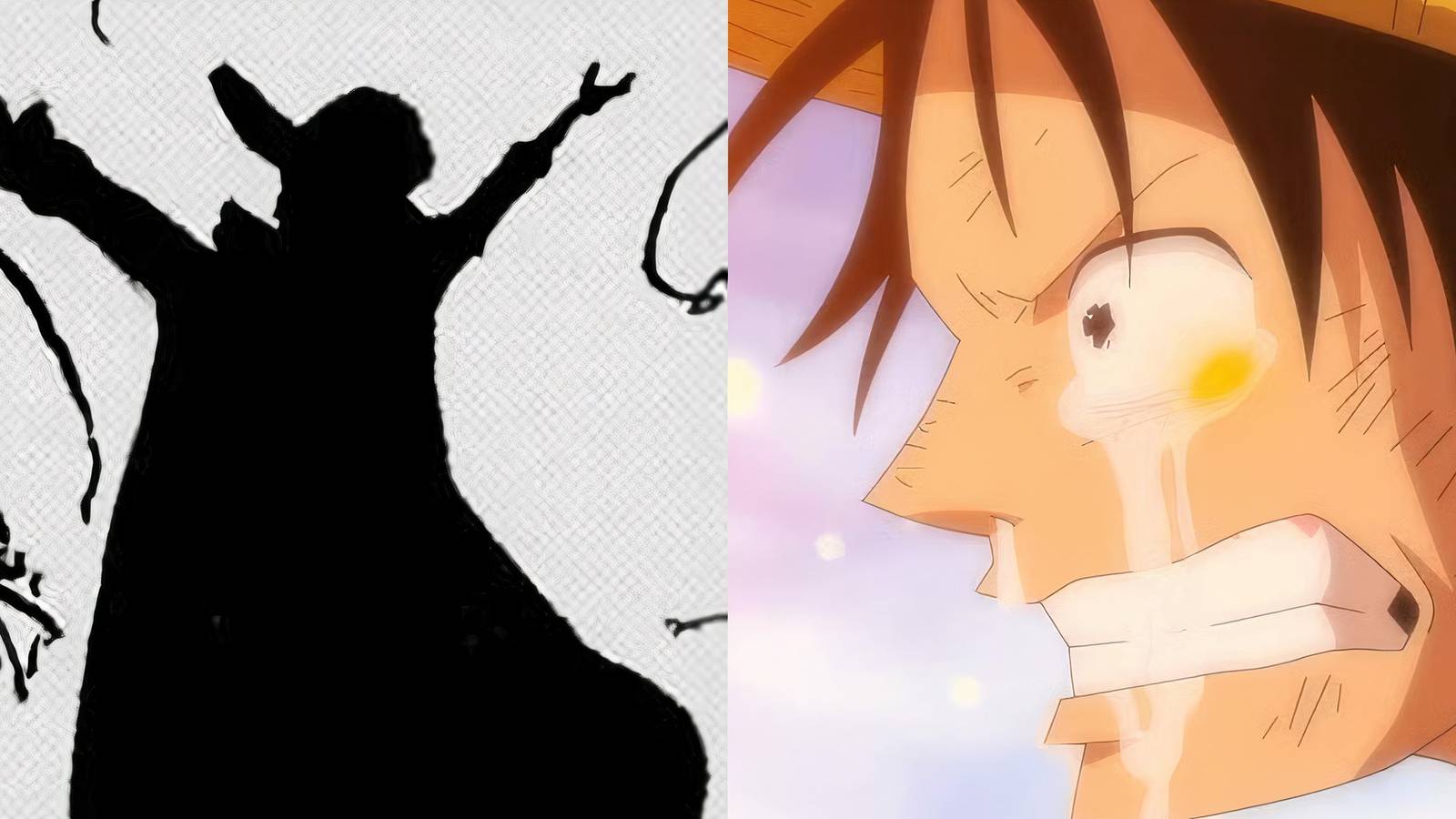 Joy Boy Sad One Piece