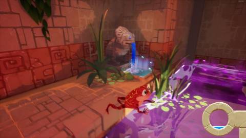 La Rana Press Image 1