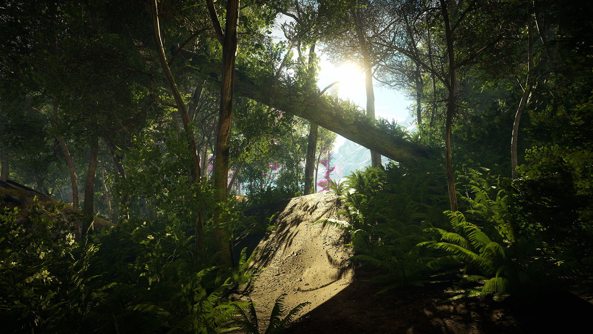 Leaving Lyndow Press Image 3