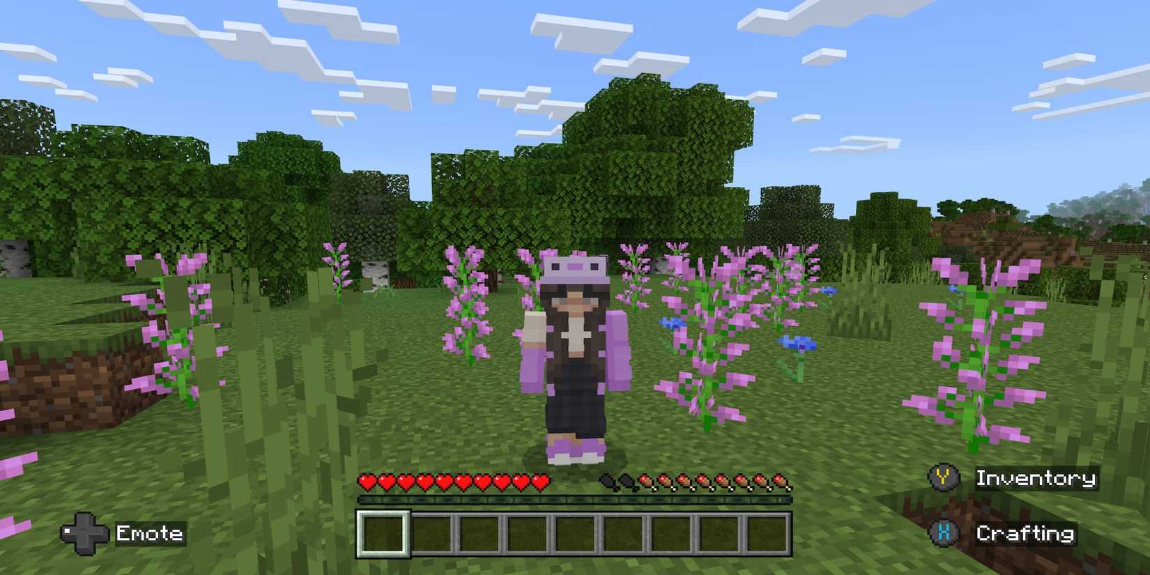 Lilac Minecraft Minecraft: How To Find All Flowers