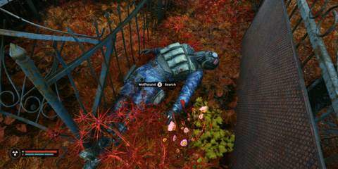 Looting Wolfhound's Body