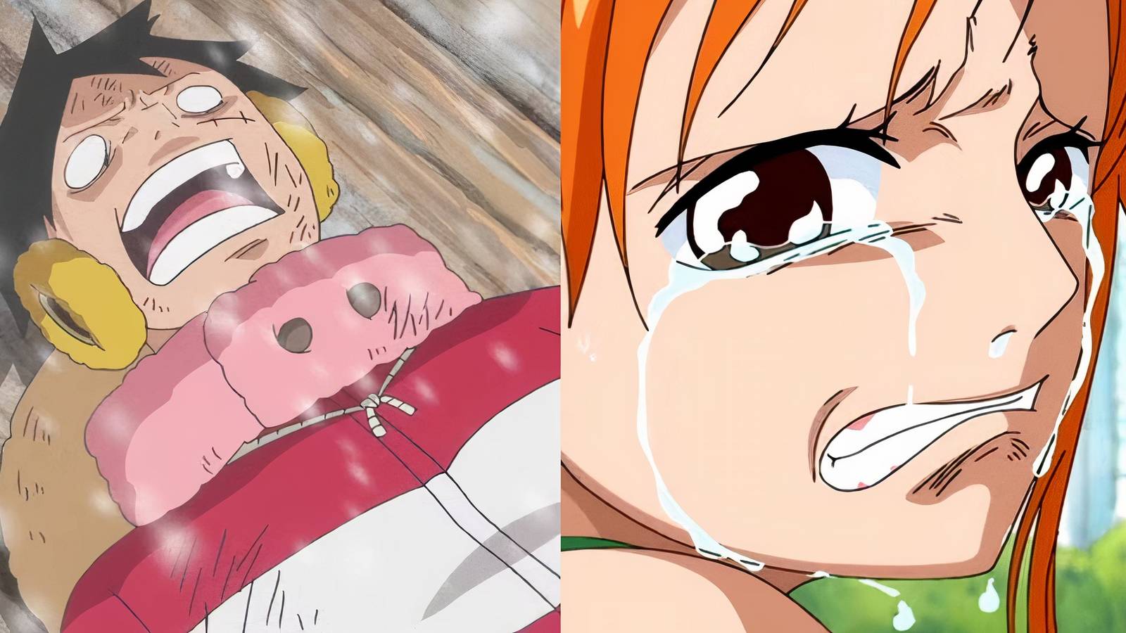 Luffy Dying One Piece