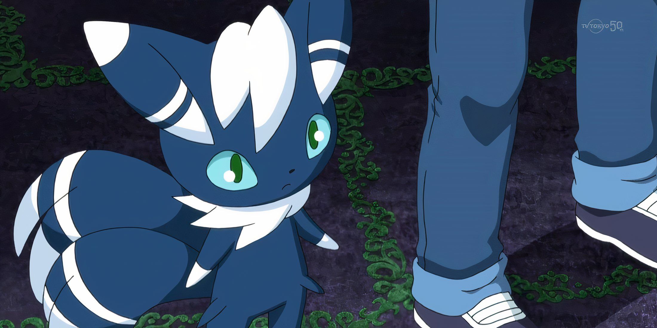 Meowstic In The Pokemon Anime