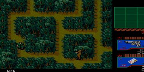 snake sneaking in a jungle environment