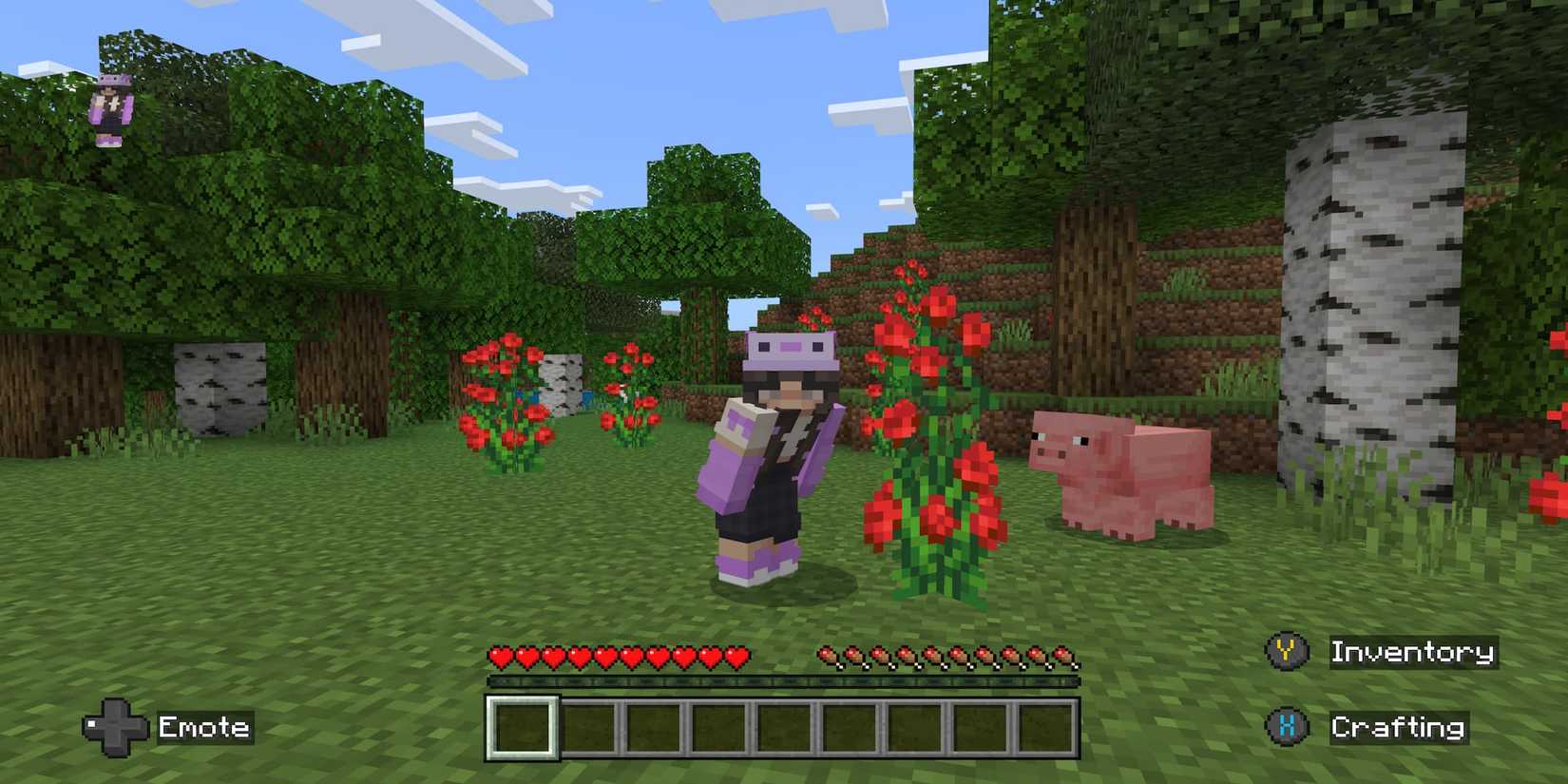 Minecraft Roz Minecraft: How To Find All Flowers