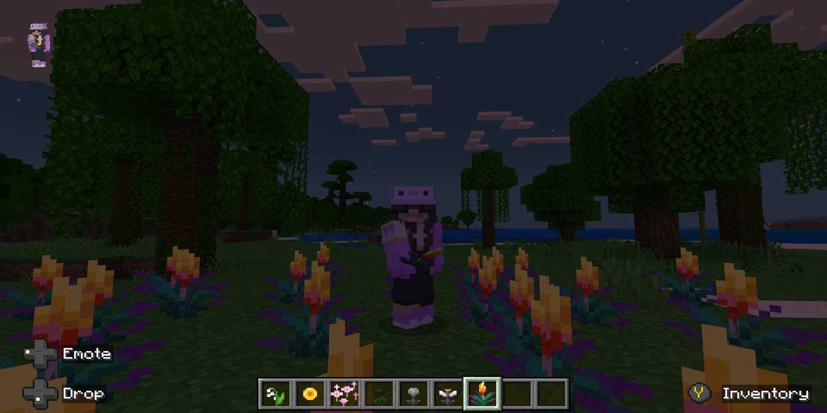 Torchflower Robe Minecraft Minecraft: How To Find All Flowers