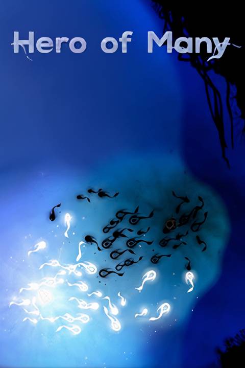 Hero of Many Tag Page Cover Art