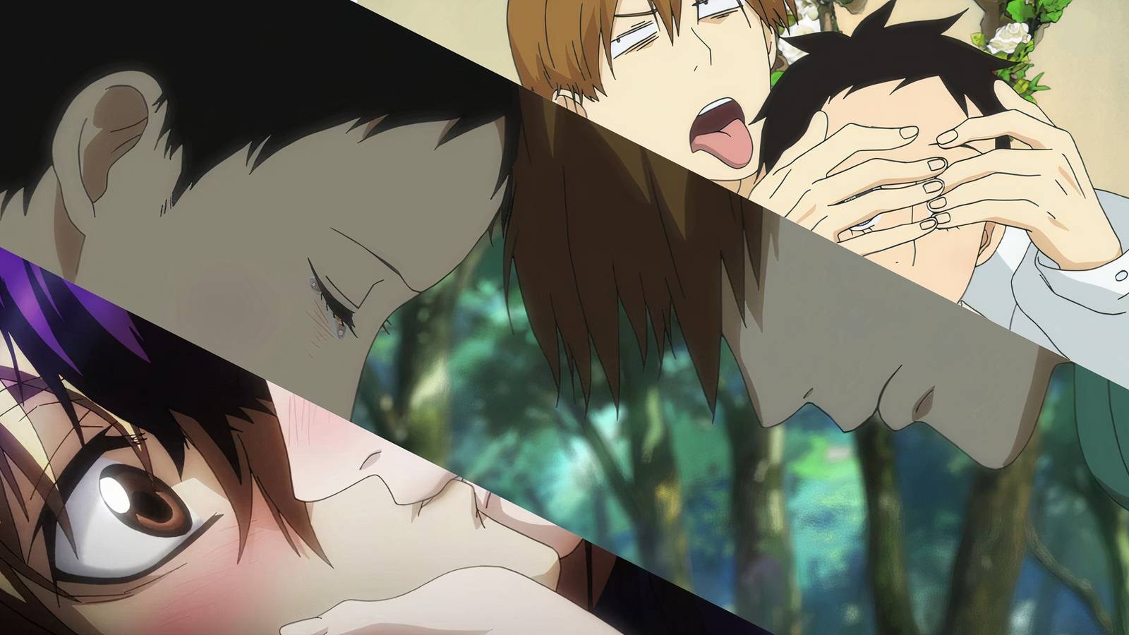 Natsuyuki Rendezvous, Dusk Maiden Of Amnesia