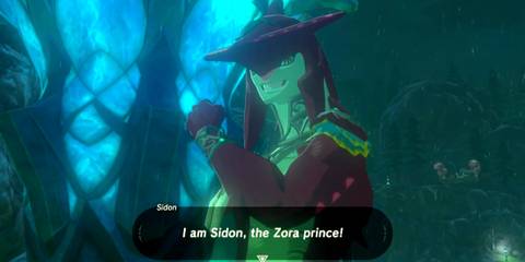 The Legend of Zelda: Breath of the Wild - Sidon