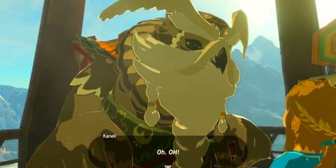 The Legend of Zelda: Breath of the Wild - Kaneli