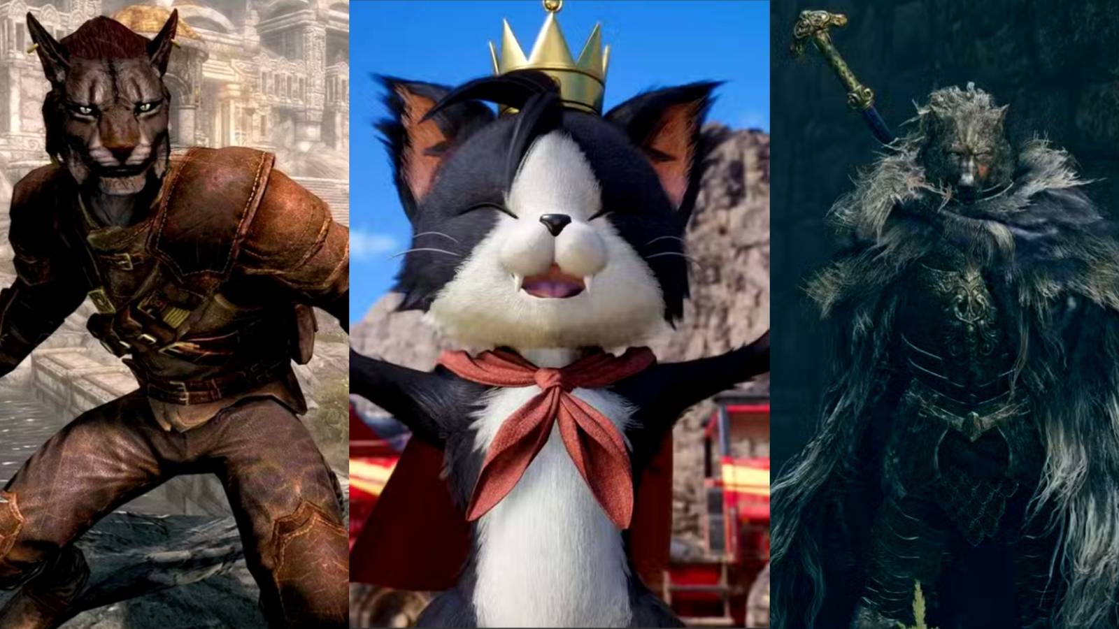 Anthropomorphic characters from video games, including a fox warrior and a wolf knight, standing in a mystical forest.