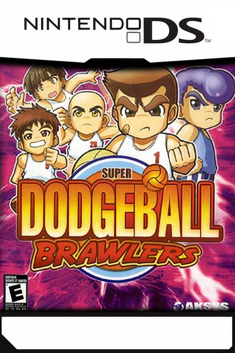 Super Dodgeball Brawlers Tag Page Cover Art