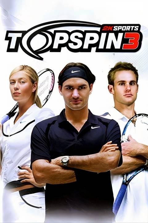 Top Spin 3 Tag Page Cover Art