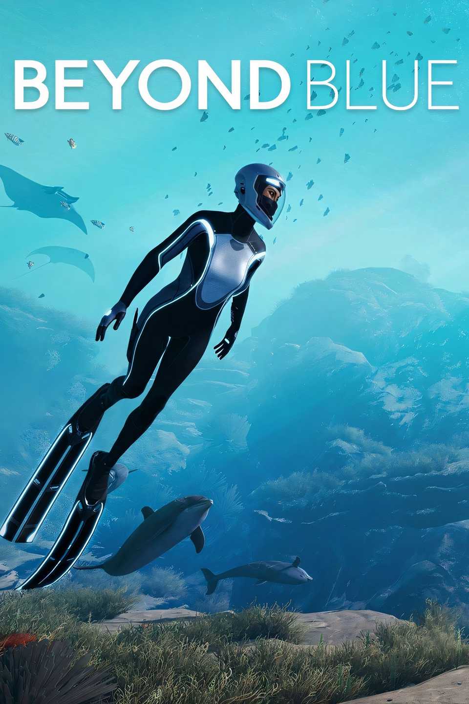 Beyond Blue Tag Page Cover Art