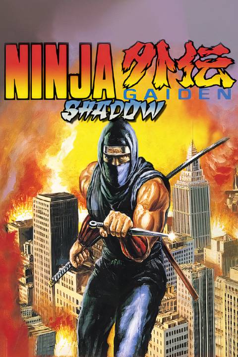 Ninja Gaiden Shadow Tag Page Cover Art