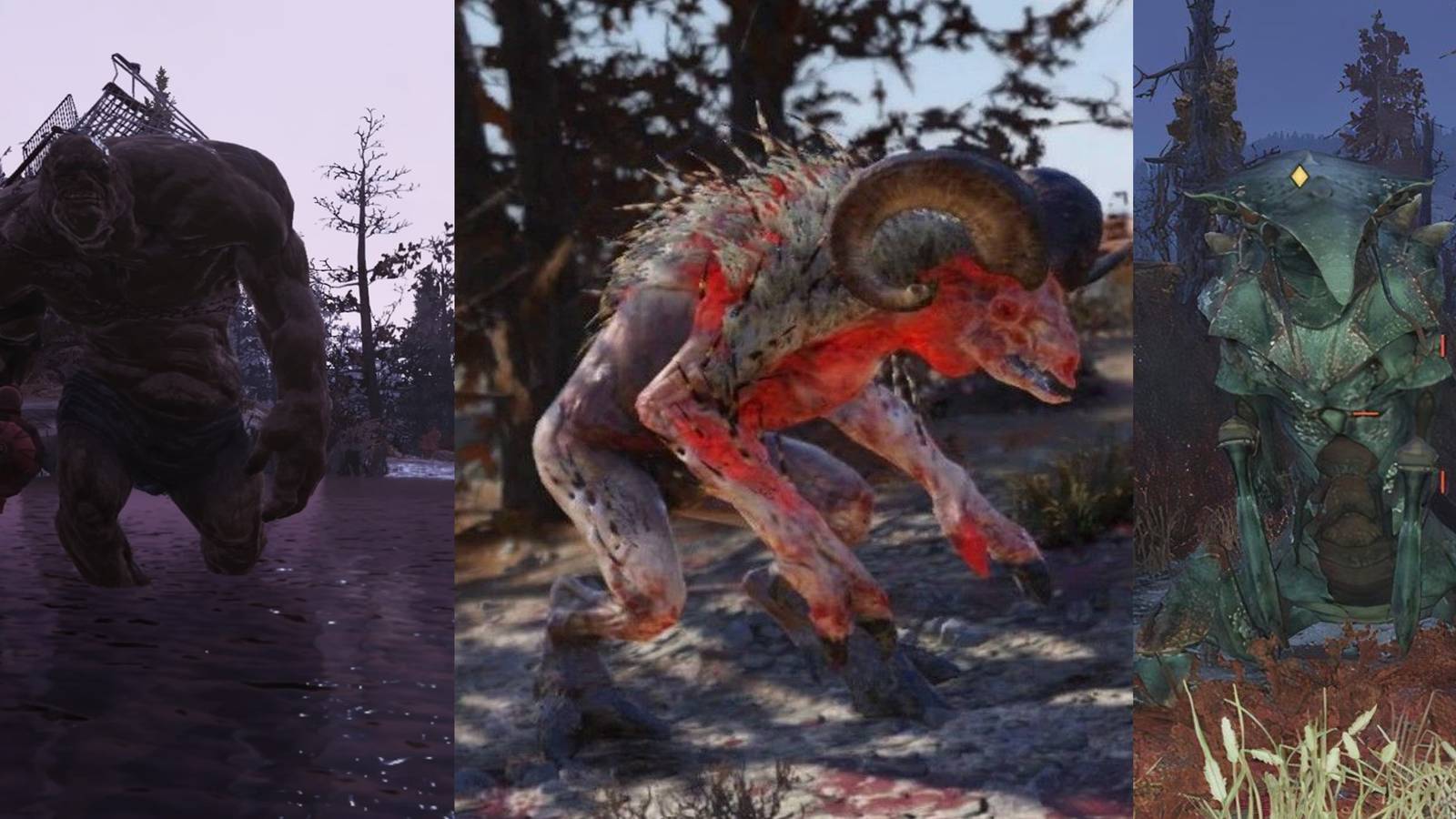 Fallout Creatures Types Fallout 76: The Most Dangerous Creatures (& Where To Find Them)