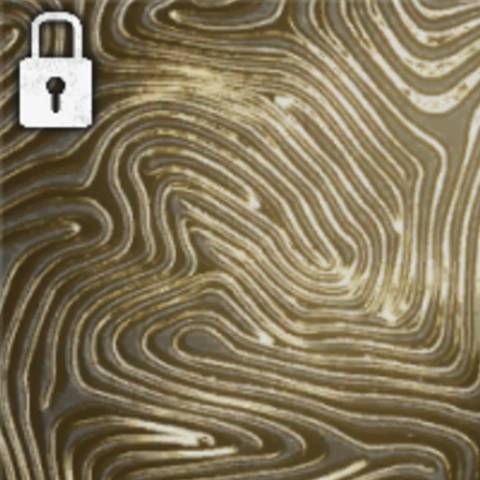 Mystic Gold Camo in Black Ops 6