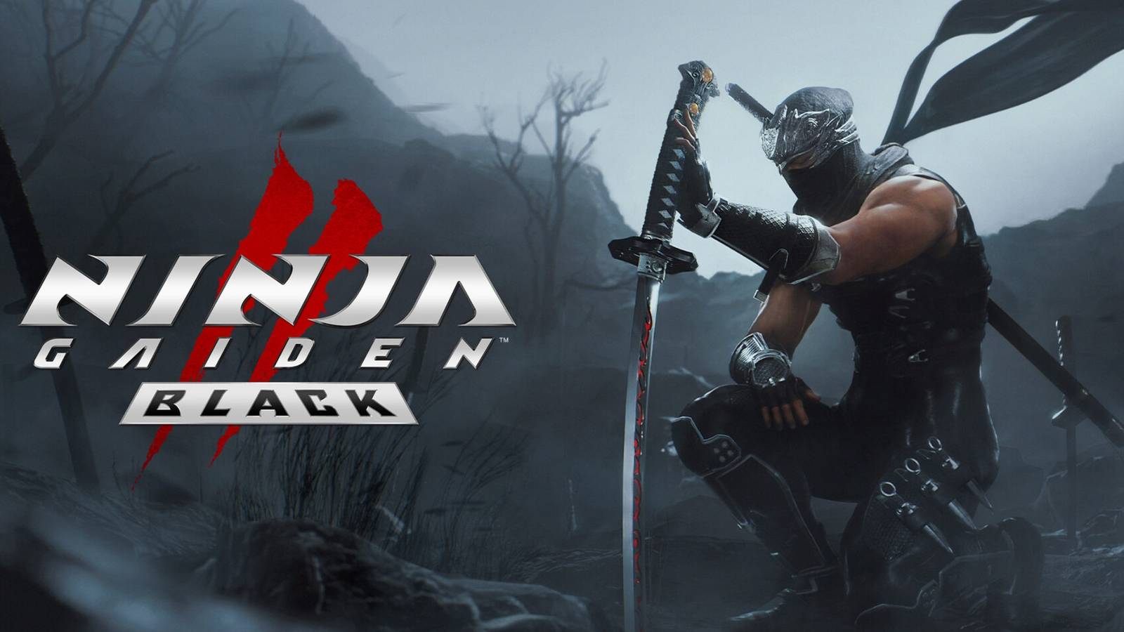 Ninja Gaiden 2 Black Cover 