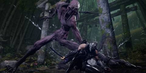 Ninja Gaiden 4 Collaboration Idea Credited Phil Spencer