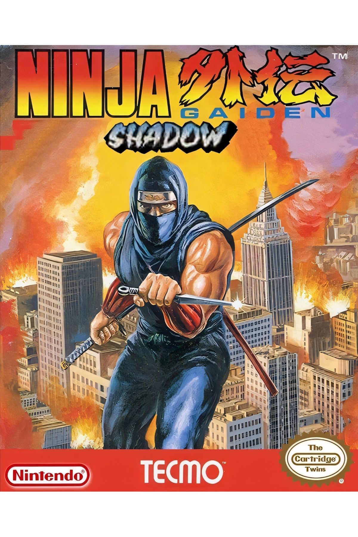 Ninja Gaiden Shadow Cover