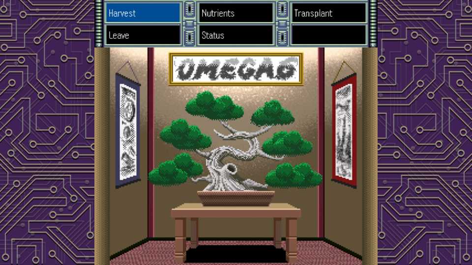 OMEGA 6 The Triangle Stars 3