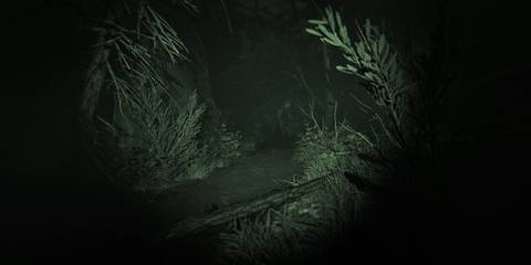 An enemy emerging from within the reeds 