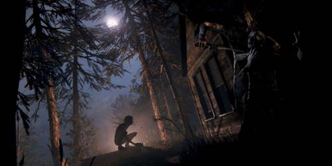 A creature crouched in the forest