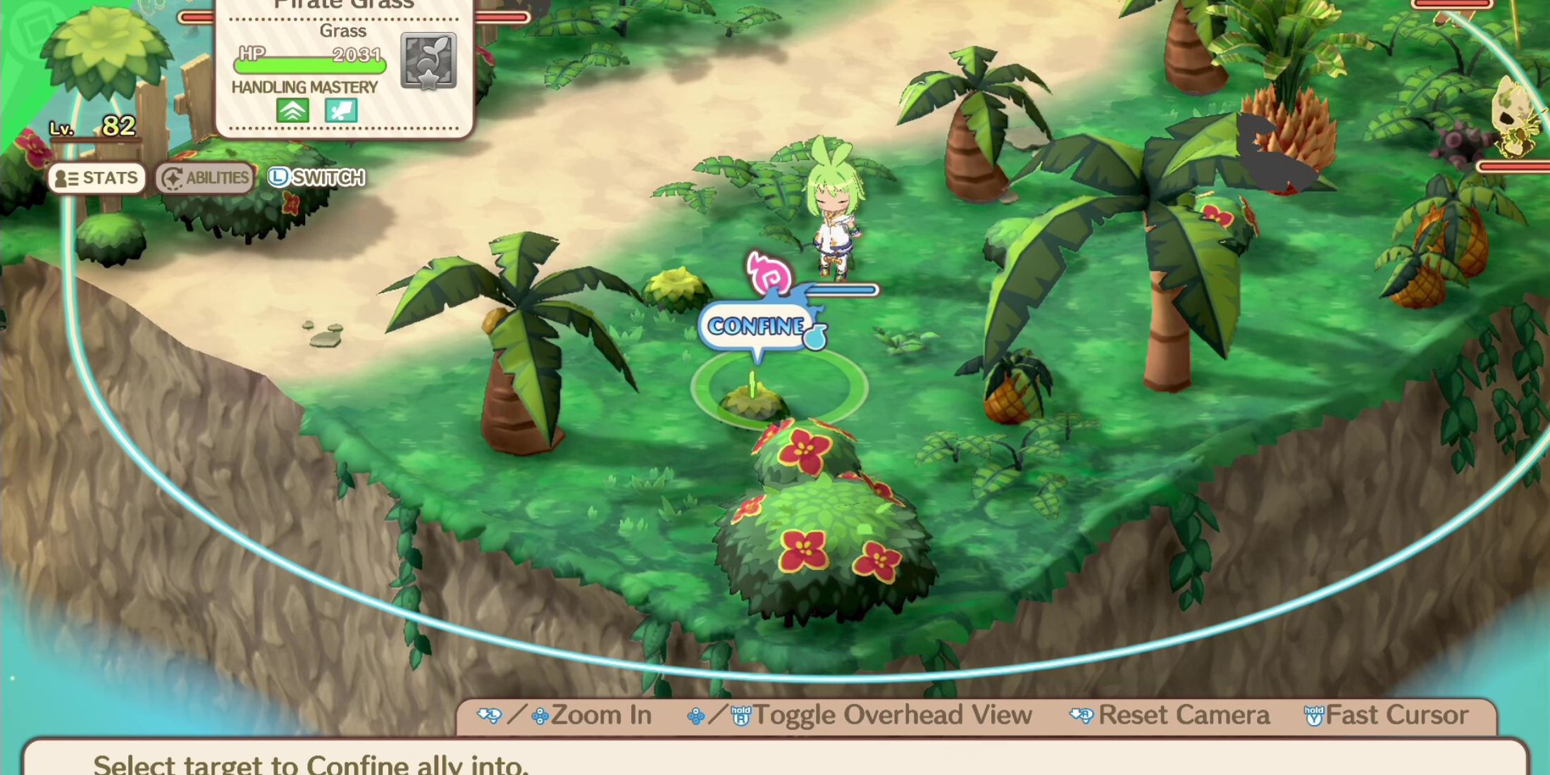 Phantom Brave_ The Lost Hero pirate grass