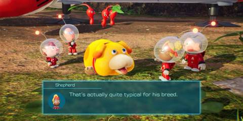 shepherd dialogue box
