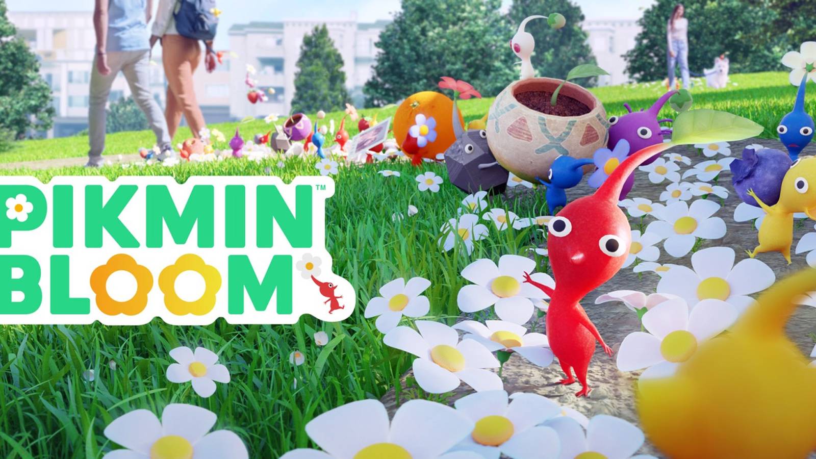 Pikmin Bloom reveals January 2025 plans