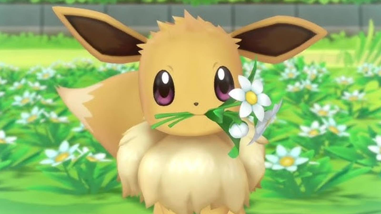 pokemon-fanmade-normal-type-eeveelution