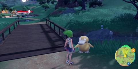 pokemon scarlet and violet psyduck poco path lighthouse